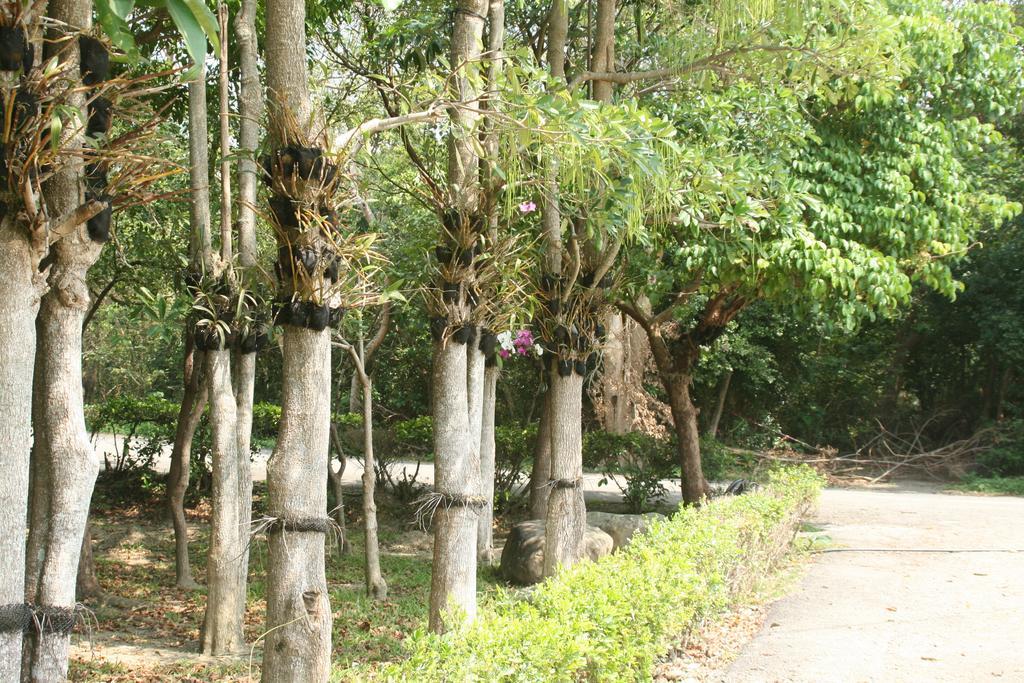 Butterfly B&B Manzhou Exterior photo